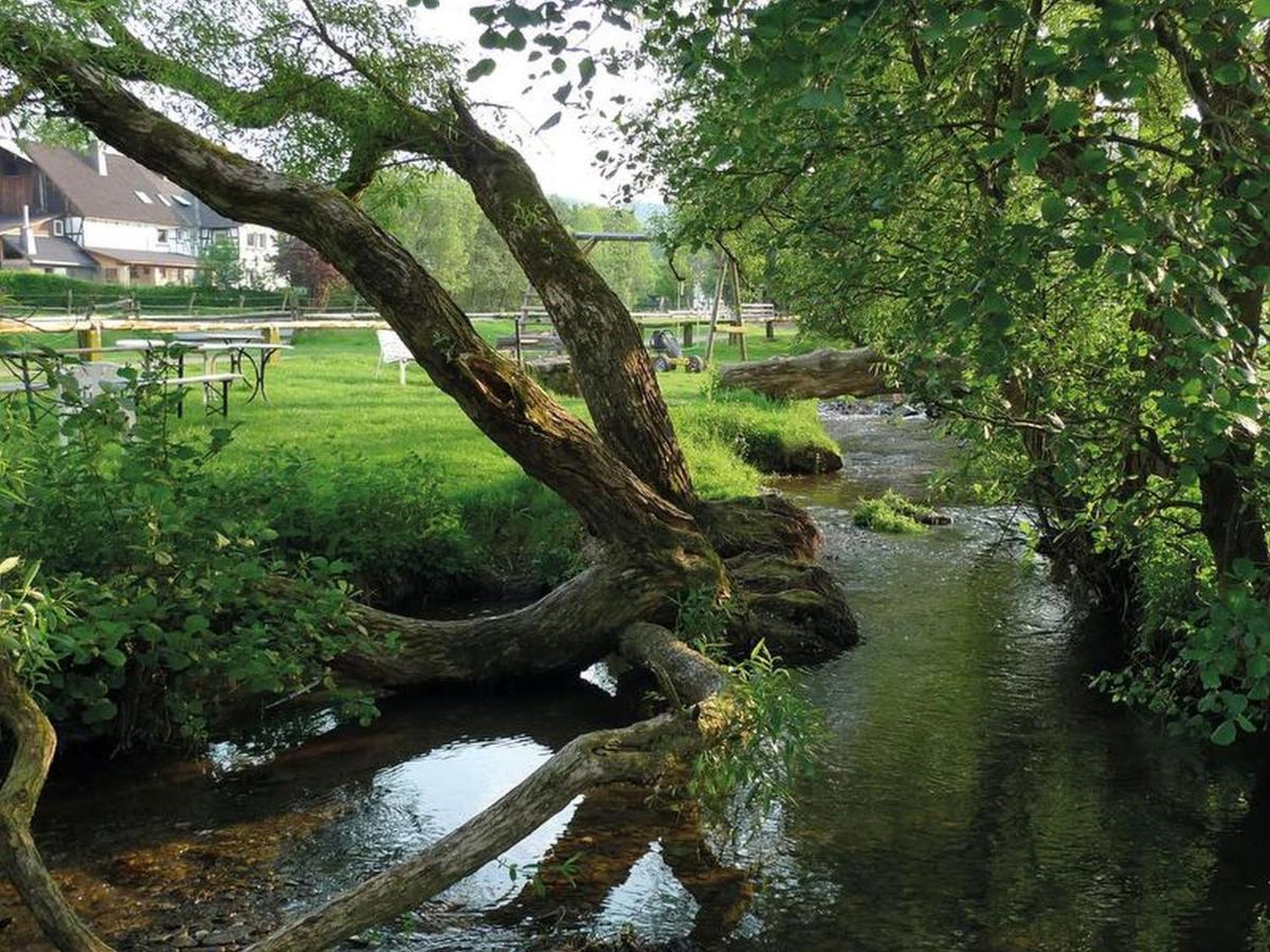 Apartmán Riekeshof Schmallenberg Exteriér fotografie